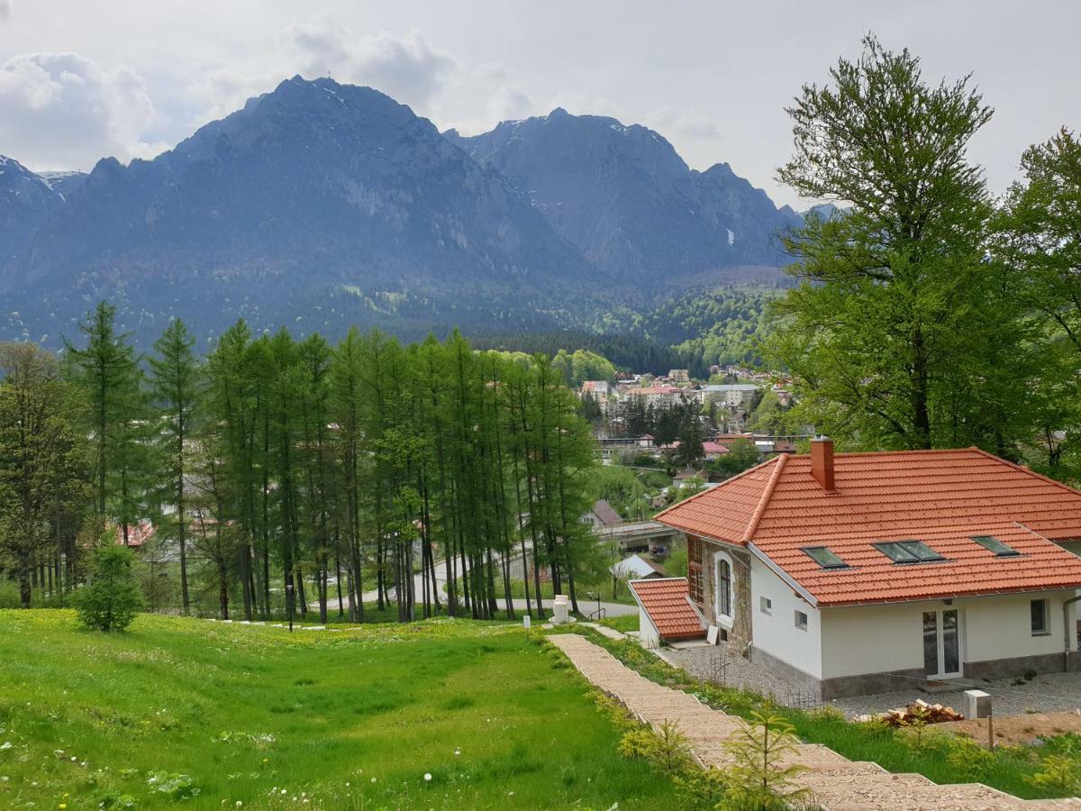 Castelul Cantacuzino Буштени Экстерьер фото