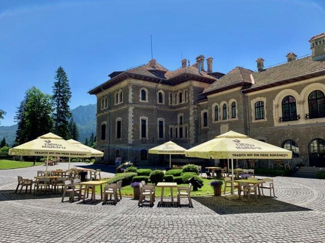 Castelul Cantacuzino Буштени Экстерьер фото