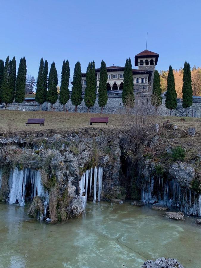 Castelul Cantacuzino Буштени Экстерьер фото